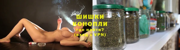 мет Няндома