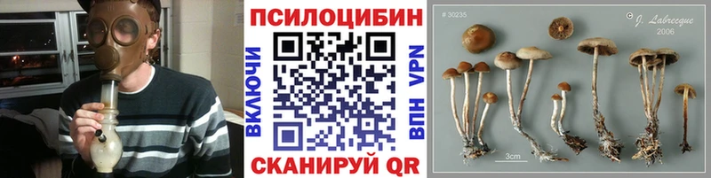 это официальный сайт  даркнет сайт  Котельниково  Псилоцибиновые грибы мухоморы 